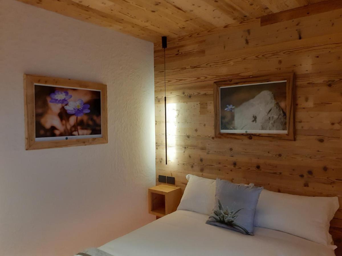 B&B Il Bucaneve Santo Stefano Di Cadore Luaran gambar