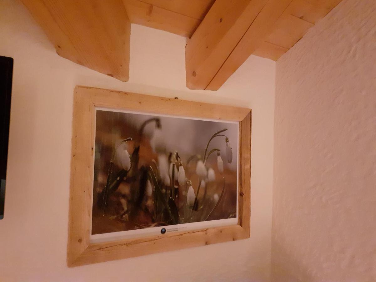 B&B Il Bucaneve Santo Stefano Di Cadore Luaran gambar