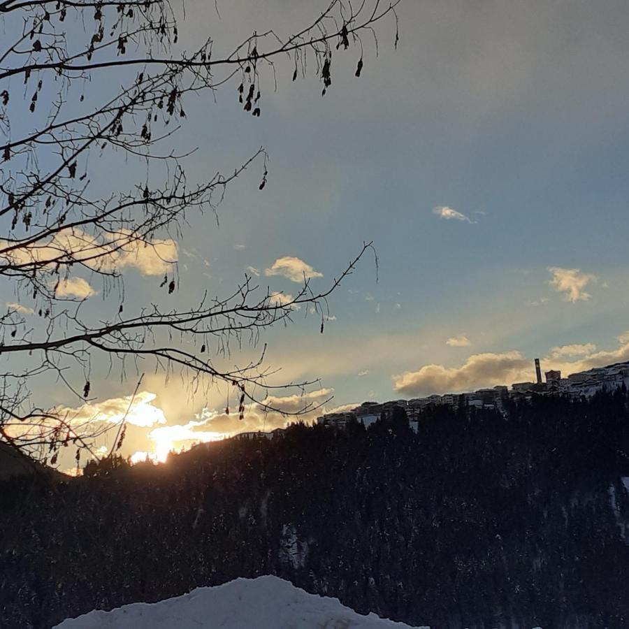 B&B Il Bucaneve Santo Stefano Di Cadore Luaran gambar