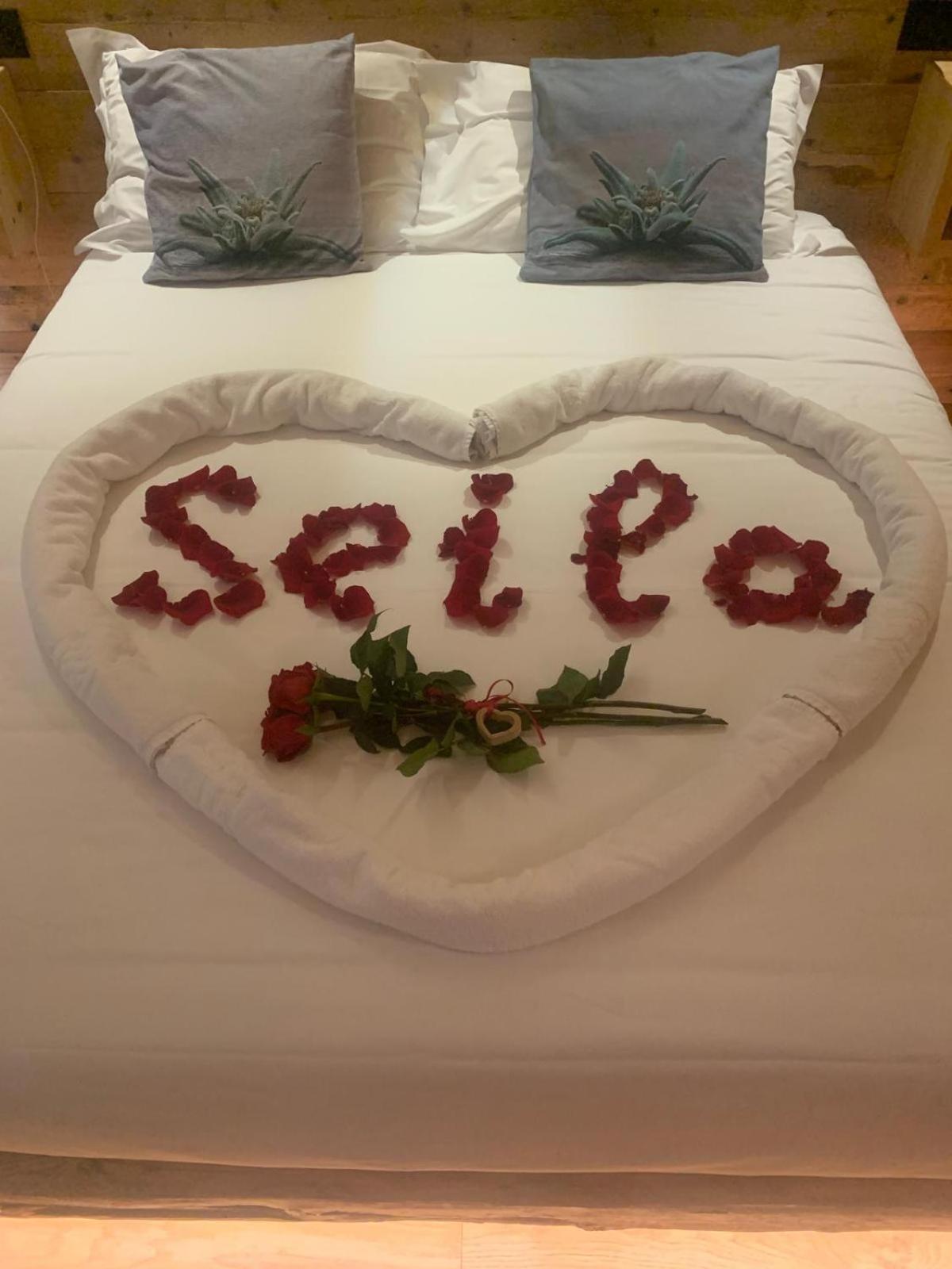 B&B Il Bucaneve Santo Stefano Di Cadore Luaran gambar
